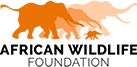 African Wildlife Foundation