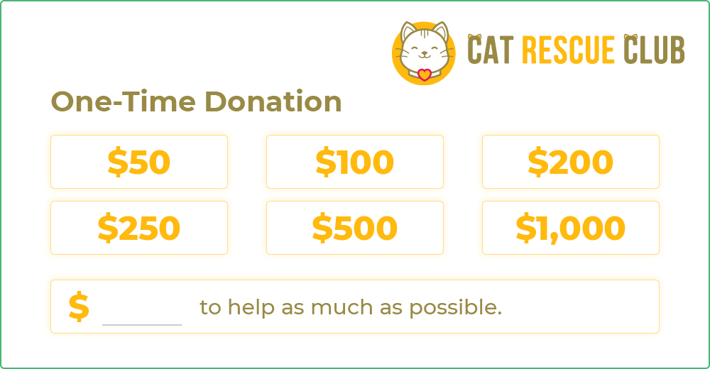 How corporate matching gift programs work: donor submits a donation. How corporate matching gift programs work: donor submits a donation.