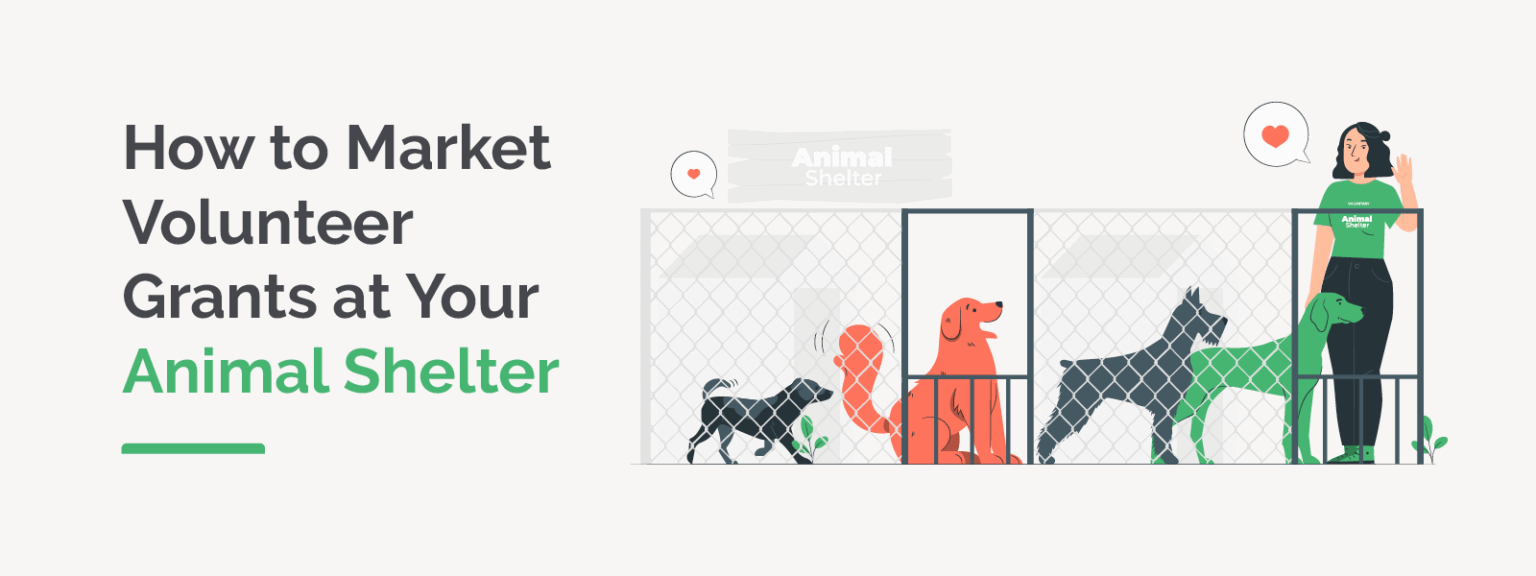 How to Market Volunteer Grants at Your Animal Shelter